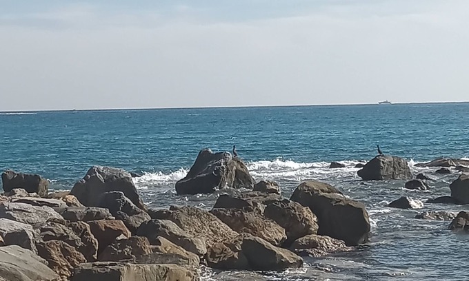 Vallecrosia Apartment | Cozy and quiet lodging in the center two minutes from the Ligurian Sea.
