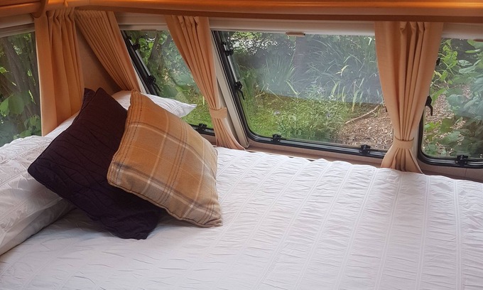 Llandysilio House | Cozy and welcome retreat in the heart of Mid Wales