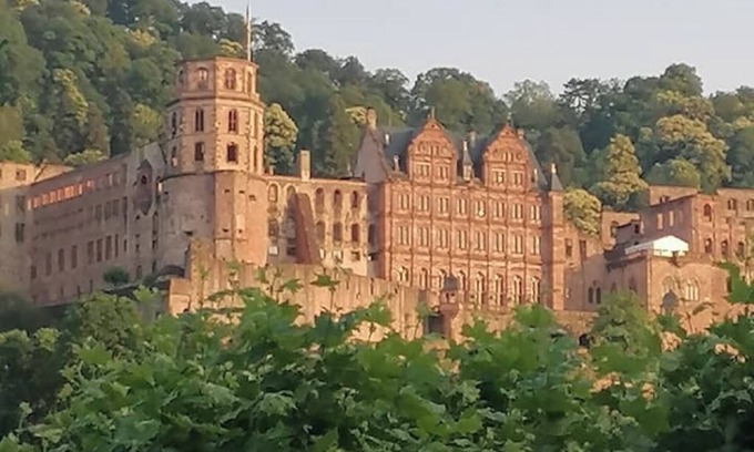 Neuenheim Apartment | Cozy Apartment in the Center of Heidelberg