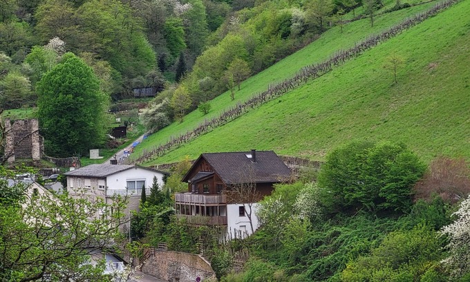 Mainz-Bingen Apartment | Cozy apartment in the countryside