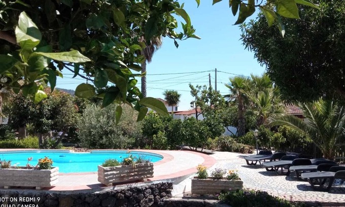 El Paso Apartment | Cozy apartment with patio in the subtropical garden with pool