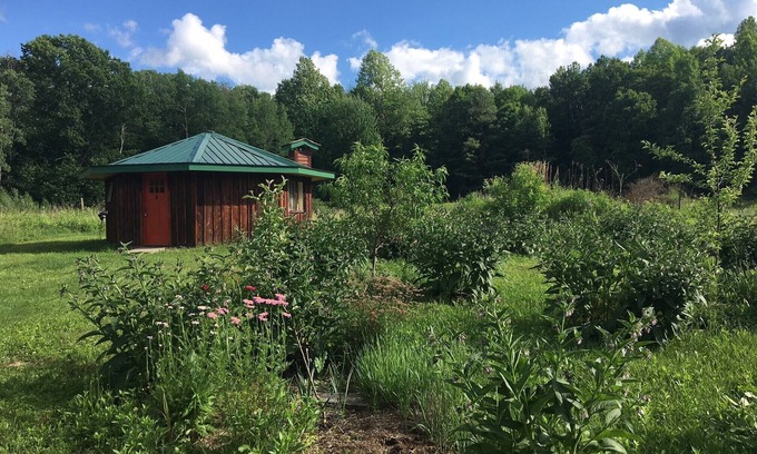 Newfield Cottage | Cozy, Artistic Retreat Surrounded By Waterfalls, Orchards And Gardens