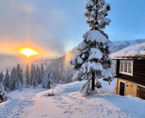 Hundorp Apartment | Cozy cabin apartment, ski-in ski-out at Kvitfjell