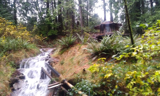 Sedro-Woolley Cabin | Cozy Cabin at SunRay Shire