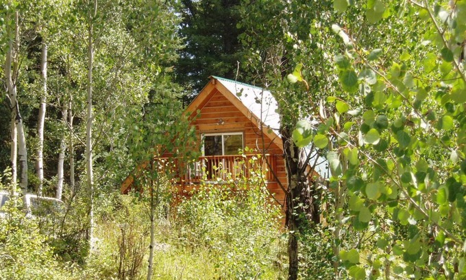 Creede Cabin | Cozy Cabin in the national forest
