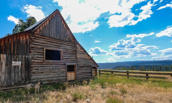 Pagosa Springs Cabin | Cozy Cabin in the Heart of Pristine Wilderness