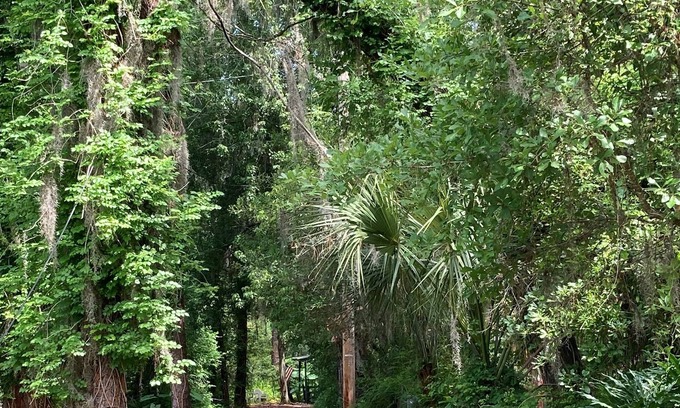 Lakeland Cabin | Cozy Cabin in the Woods - 10% Off Week's Stay