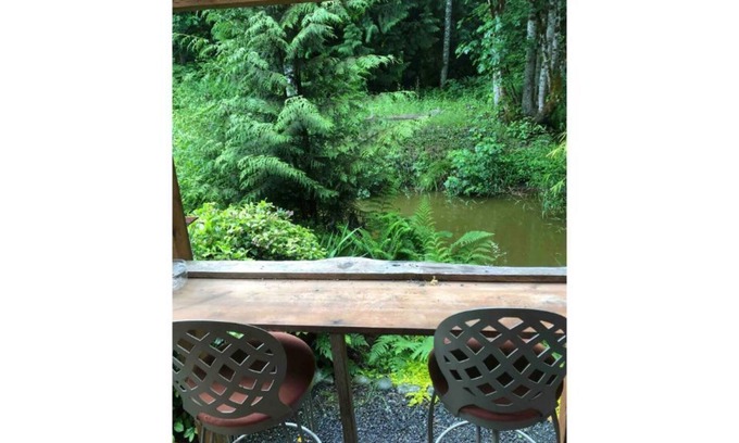 Adelma Beach Cabin | Cozy Cabin Nestled In Magical Olympic Old Growth