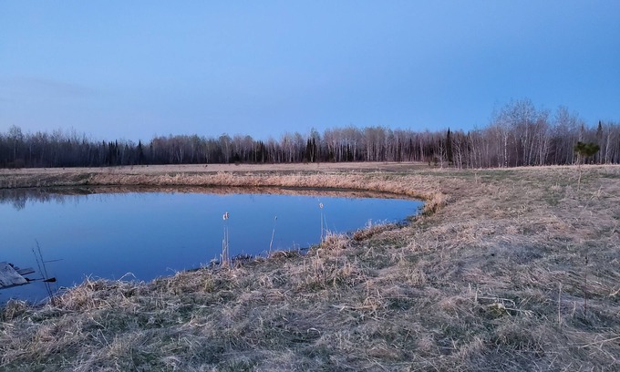 Forbes Cabin | Cozy Cabin on 40 Acres *Near Sax Zim Bog and Access to St. Louis River*