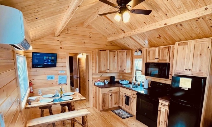 Hector Cabin | Cozy Cabin on Seneca Wine Trail Vineyard View 5