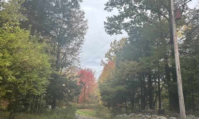 Perrysburg Cabin | Cozy cabin tucked away in the woods. pets and kid welcomed