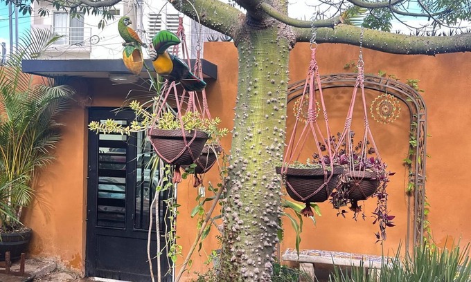 Tepic House | Cozy Casa Ceiba,Charming 2-bedroom house with WiFi, AC in brilliant Tepic