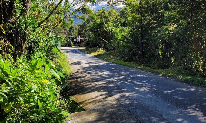 Rivas House | Cozy Casita close to nature with beautiful view