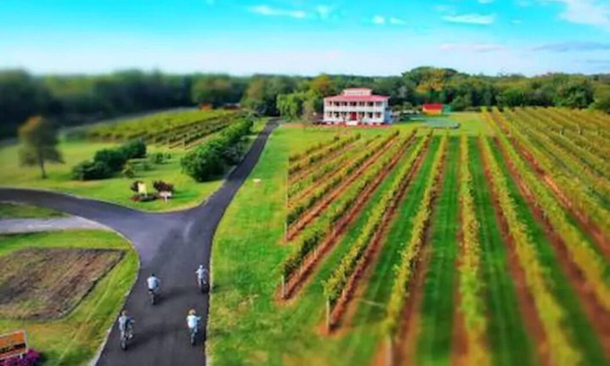 West Cape May Apartment | Cozy Chambourcin Cottage at Willow Creek Winery