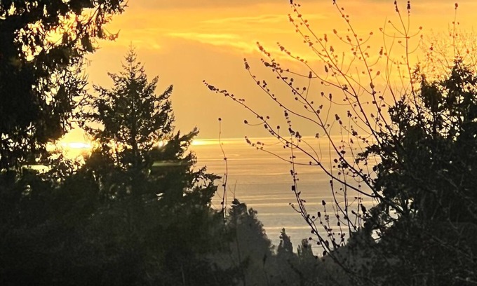 Cordova Bay House | Cozy Cordova Bay Suite - 5min from beach!