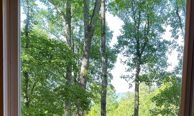 Asheville Cabin | Cozy cottage in mountains 2.2 miles from downtown or 10 dollars on uber