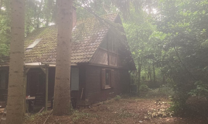 Sandhatten Cabin | Cozy cottage on idyllic forest property * Dogs welcome 🐕🐶
