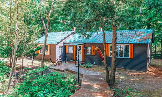 Cranmore Birches Cabin | Cozy dog friendly cabin moments from Cranmore/NOCO