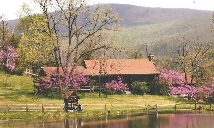 Elkton Cabin | Cozy Elkton Cabin near Shenandoah 25 min
