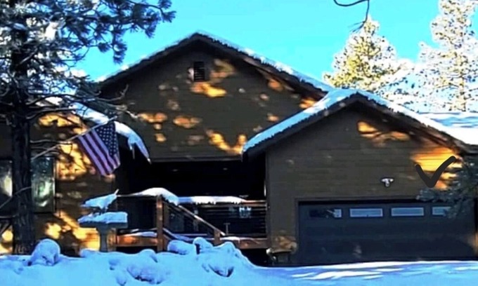 Pine Mountain Club Cabin | COZY FAMILY CABIN- STUNNING FOREST VIEWS