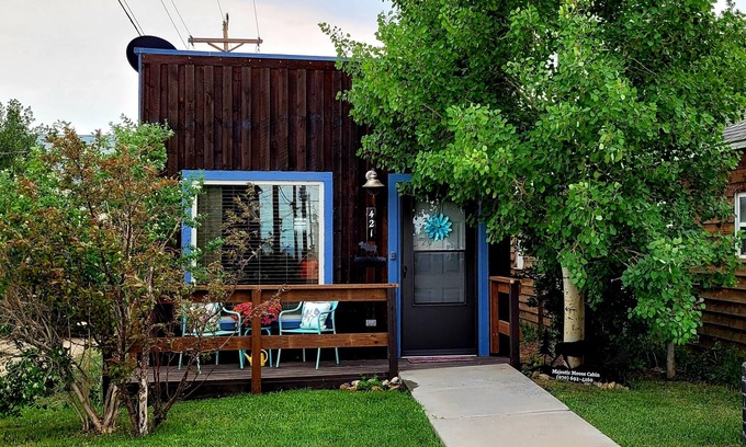 Walden Cabin | Cozy getaway in the "Moose Viewing Capital of Colorado"! Dogs welcome!