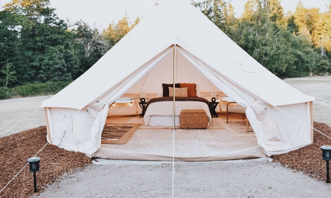 Nordland RV Rental | Cozy glamping tent on Marrowstone Island nestled in a breathtaking apple orchard