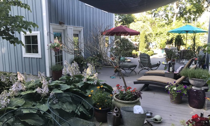 Bellevue Avenue Historic District House | Cozy guest cottage located off historic Bellevue Ave walking distance everywhere