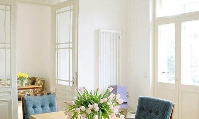 Loschwitz Apartment | Cozy Holiday Apartment in a listed Villa