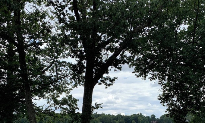 Fosterdale Apartment | Cozy Lake View Apartment in Lake Huntington