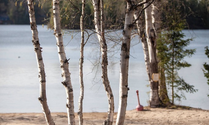 Scotia Cottage | Cozy lakefront cottage at Algonquin Woods cottage resort