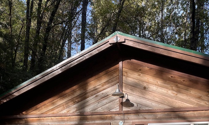 Cedar Ridge Cabin | Cozy little cottage in the woods, rustic and remote, pet friendly.