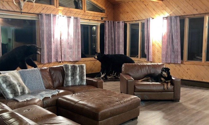 Sherman Station Cabin | Cozy Lodge