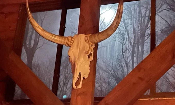 Prattsburgh Cabin | Cozy Log Home - NY Finger Lakes- Wineries, Hiking, Breweries, Distilleries