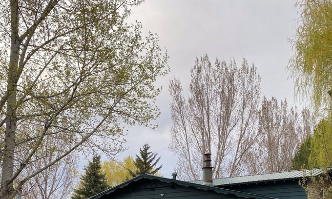 Ammon House | Cozy Mid-Century Newly Remodeled 4 bedroom, 2 bath. With finished basement.