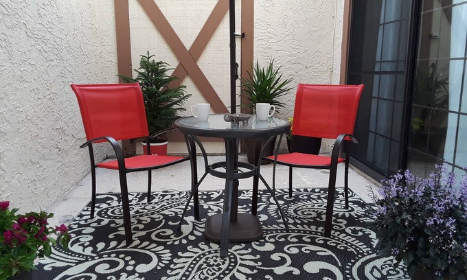Greater Northdale Apartment | Cozy, New, clean studio in North Tampa