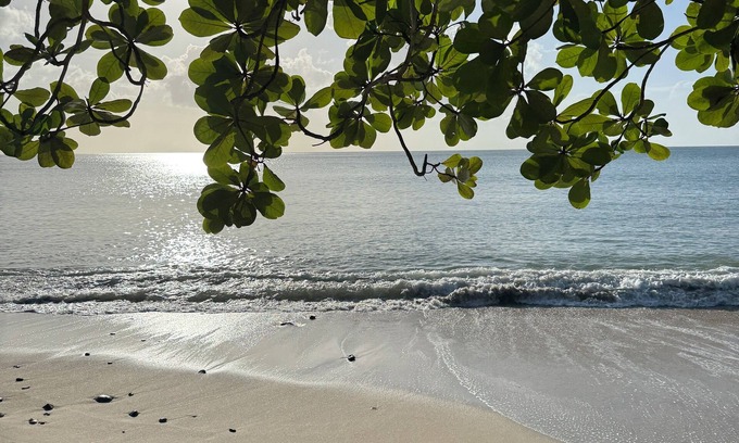 Bois d'Orange House | Cozy Ocean View Villa, full kitchen, strong Wi-Fi- 2 min from the beach!n