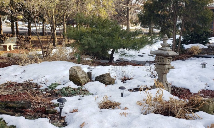 Avalon Other | Cozy older home, zen like garden. Pet friendly. Not for people with allergies.
