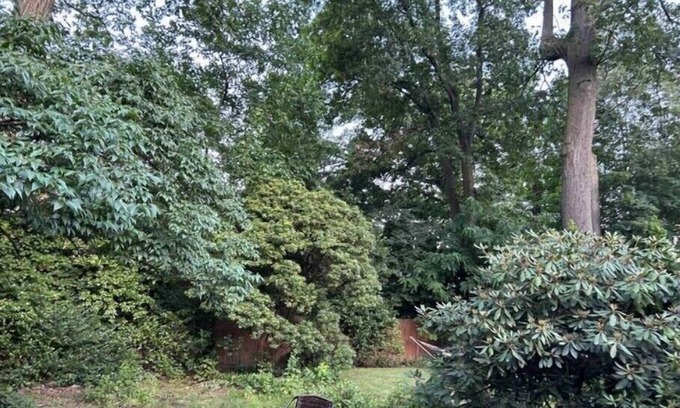 Teaneck Apartment | Cozy Private suite mins away from NYC