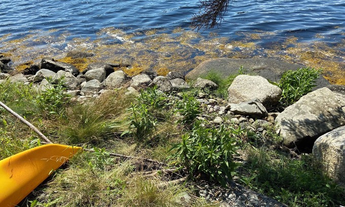 Spry Bay Cottage | Cozy private waterfront cottage on the Eastern shore. Just 1.5hrs from Halifax.
