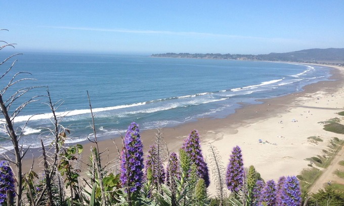 Almonte Cottage | Cozy Quiet Cottage Close to Trails, Wine Country and SF!