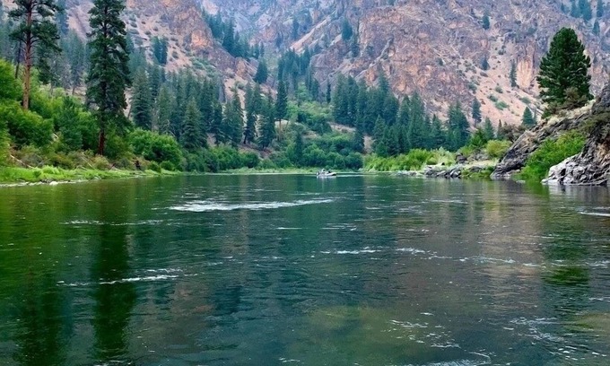 Riggins Condo | Cozy retreat within walking distance of anything in town and the salmon river!