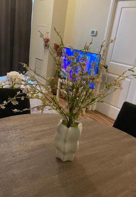 Hurontario House | Cozy Room in a Townhouse Mississauga, Ontario canada