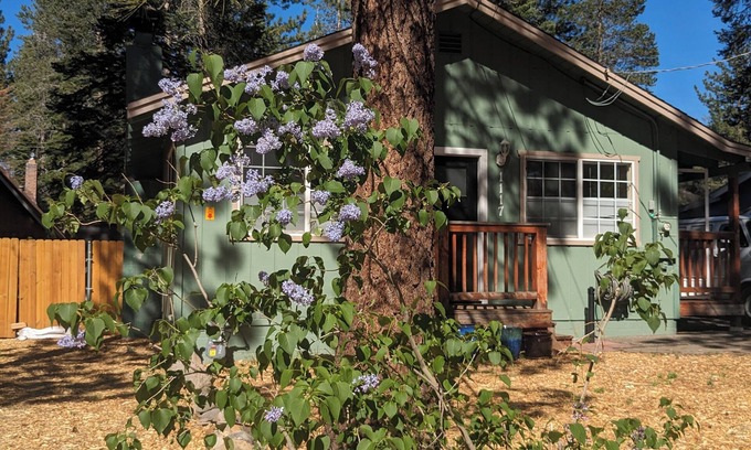 Tahoe Valley House | Cozy South Lake Tahoe Home/Dog Friendly/Fenced Yard/Porch