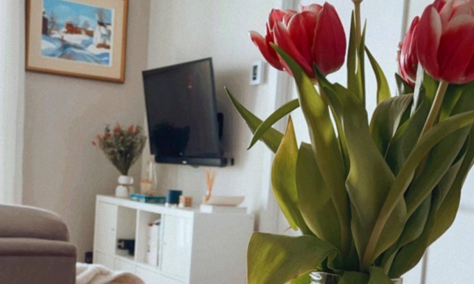 Hochelaga-Maisonneuve Apartment | Cozy stay 1+1 bed in trendy HOMA + easy parking