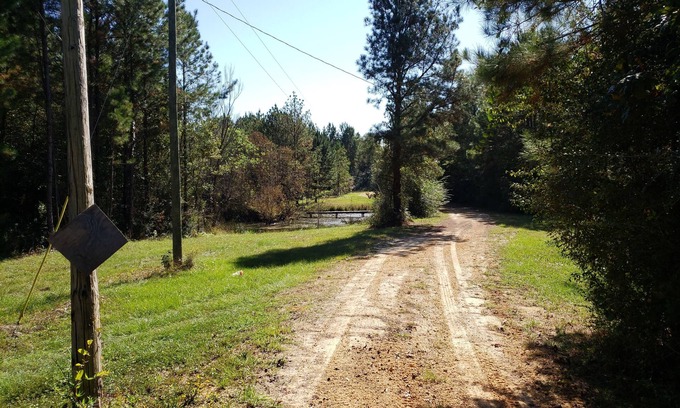 Stone County House | Cozy waterfront cabin on 20 acres