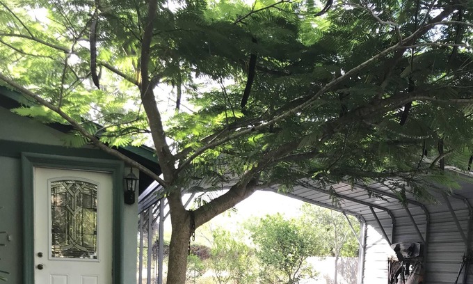 Brownsville House | Cozy Waterfront Hideaway on the Road to SpaceX