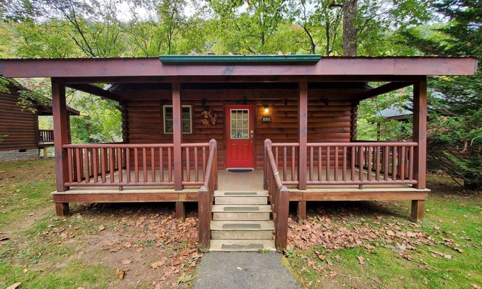 Galax Apartment | Creek Song
