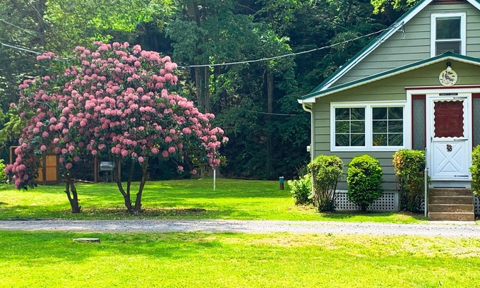 Catawissa Cottage | Creekside Cottage Next to Knoebels Amusement Resort. Large Yard, Fire Pit, Patio