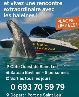 Saint-Leu Boat Rental | Croisièouest bateau privatise O6, 93,70,59,79