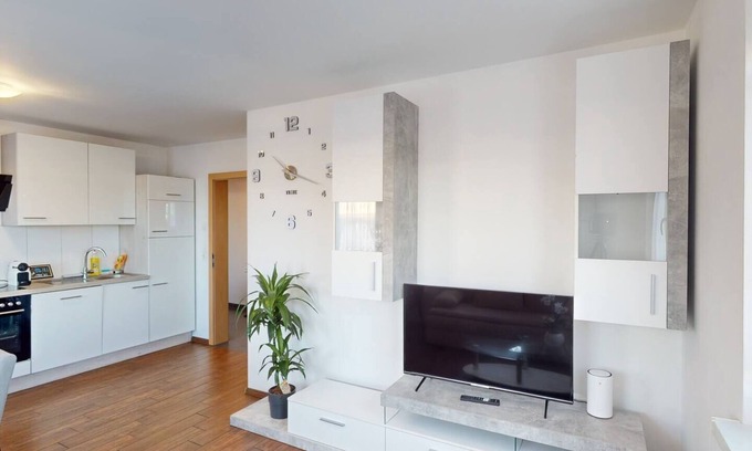 Dornbirn Apartment | Crown : Tolles Appartment - Küche - Parkplatz